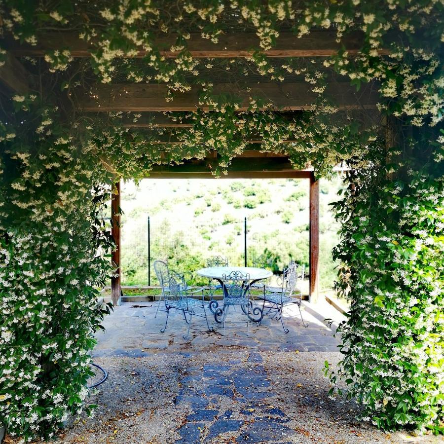 Fattoria Tolomei Campagnatico Exterior foto