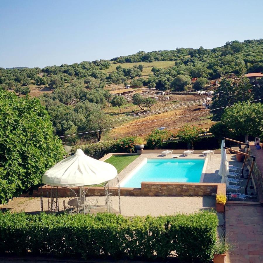 Fattoria Tolomei Campagnatico Exterior foto