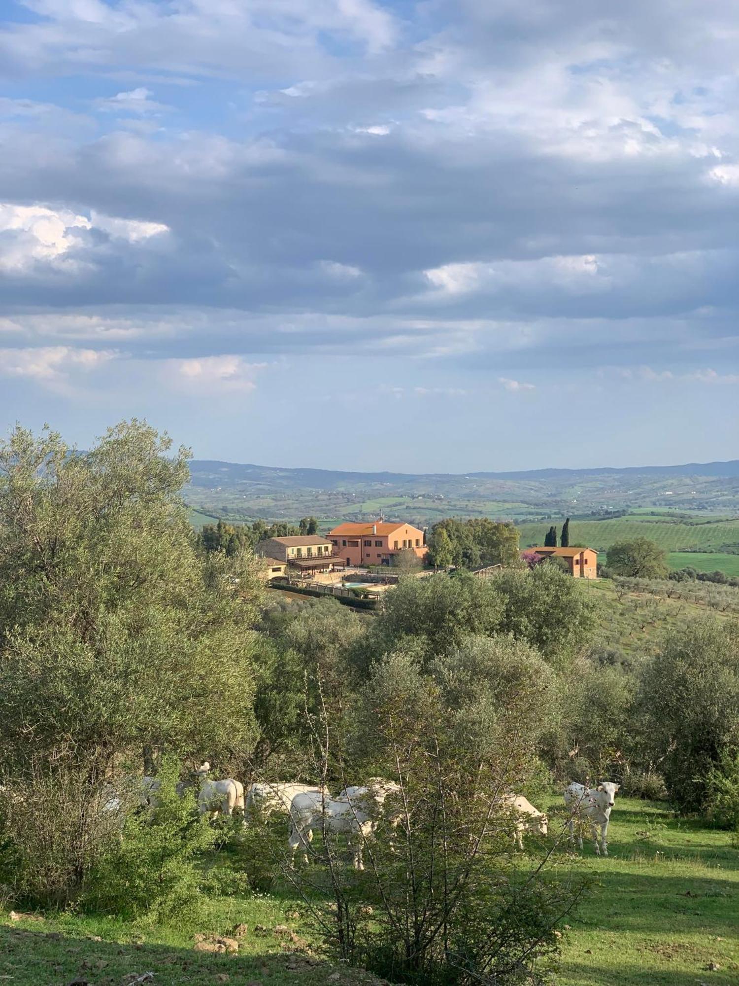 Fattoria Tolomei Campagnatico Exterior foto