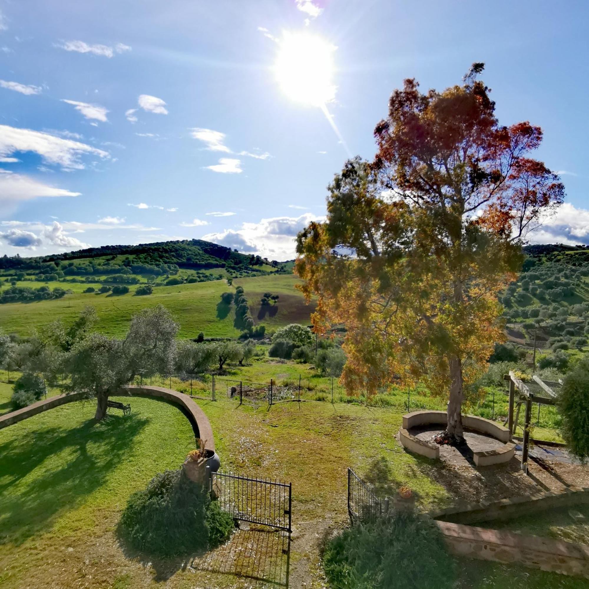Fattoria Tolomei Campagnatico Exterior foto