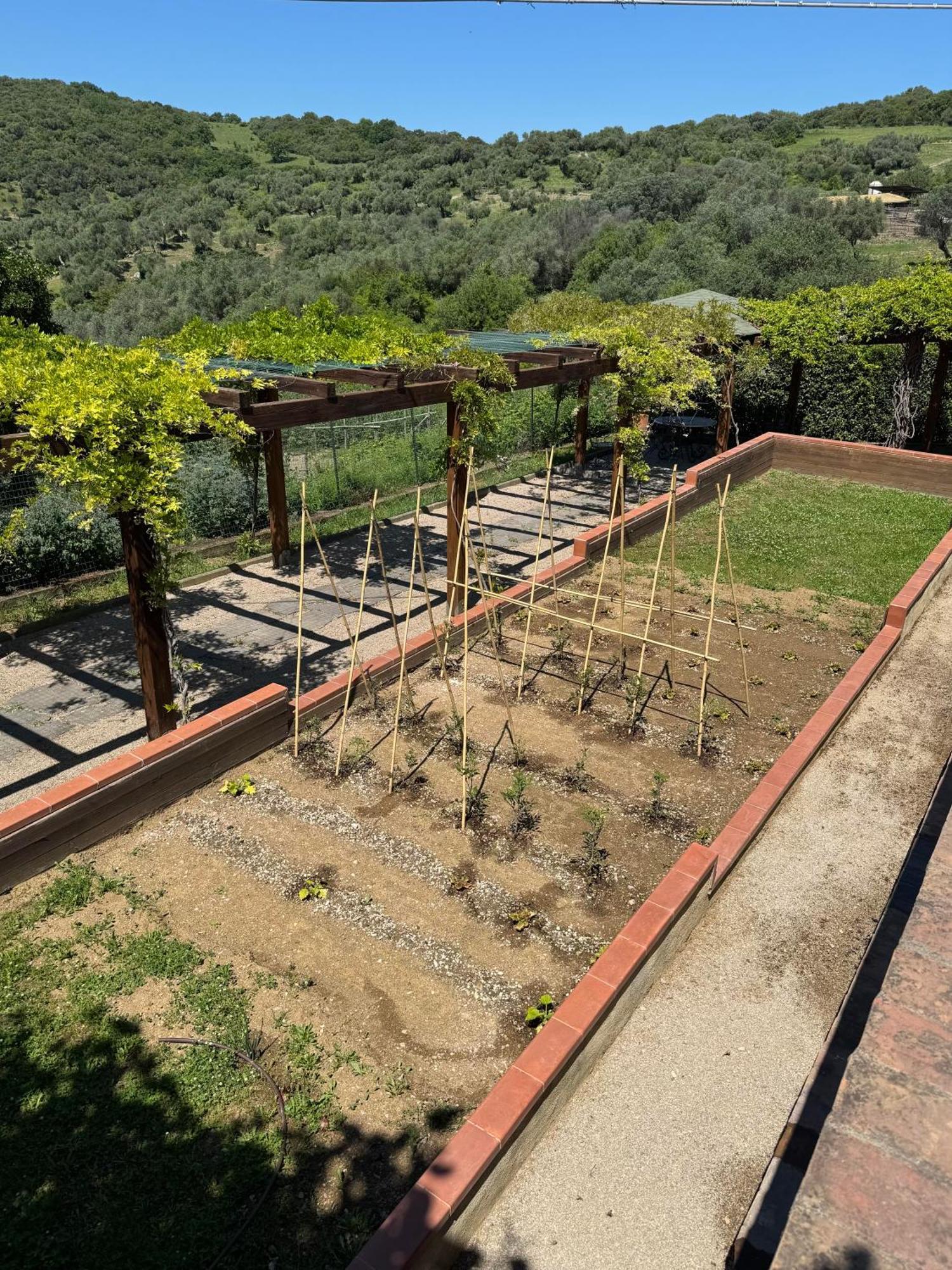 Fattoria Tolomei Campagnatico Exterior foto